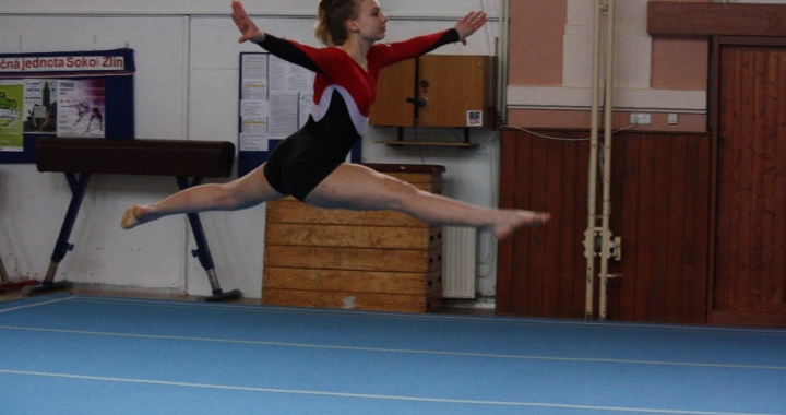 Sportovní gymnastika ve školách Zlínského kraje stále žije